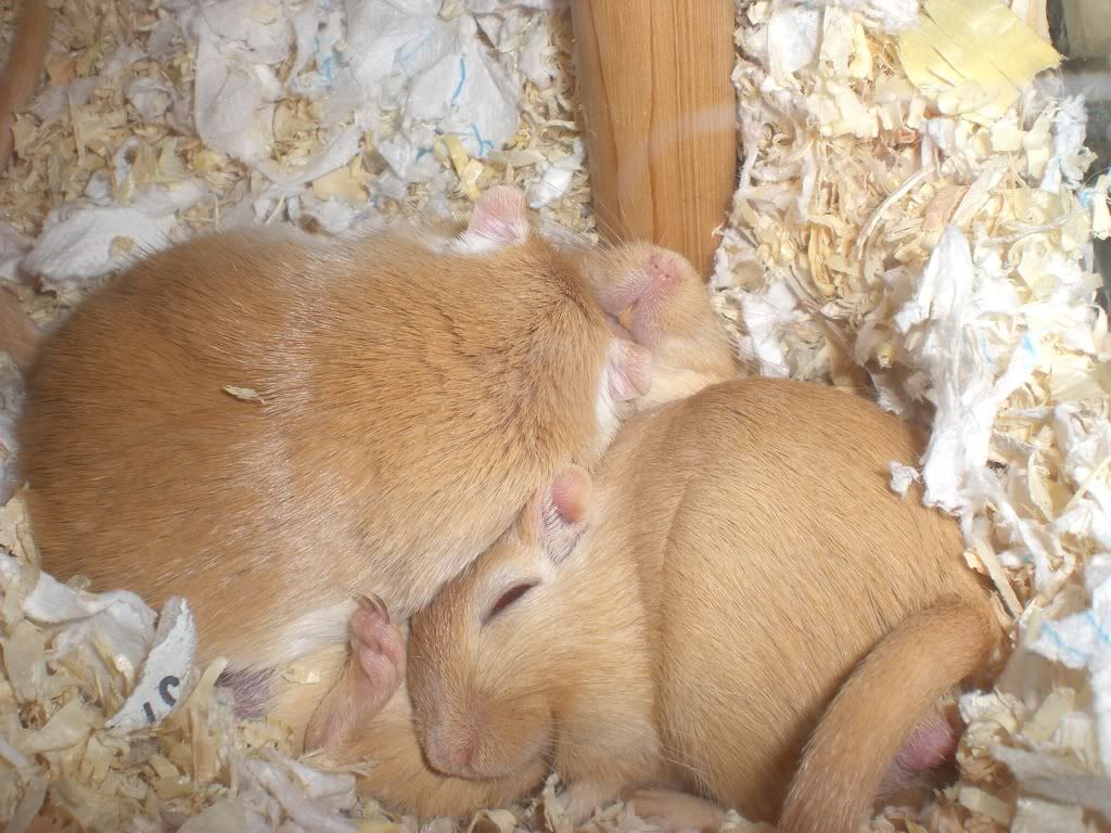 Bild004.jpg