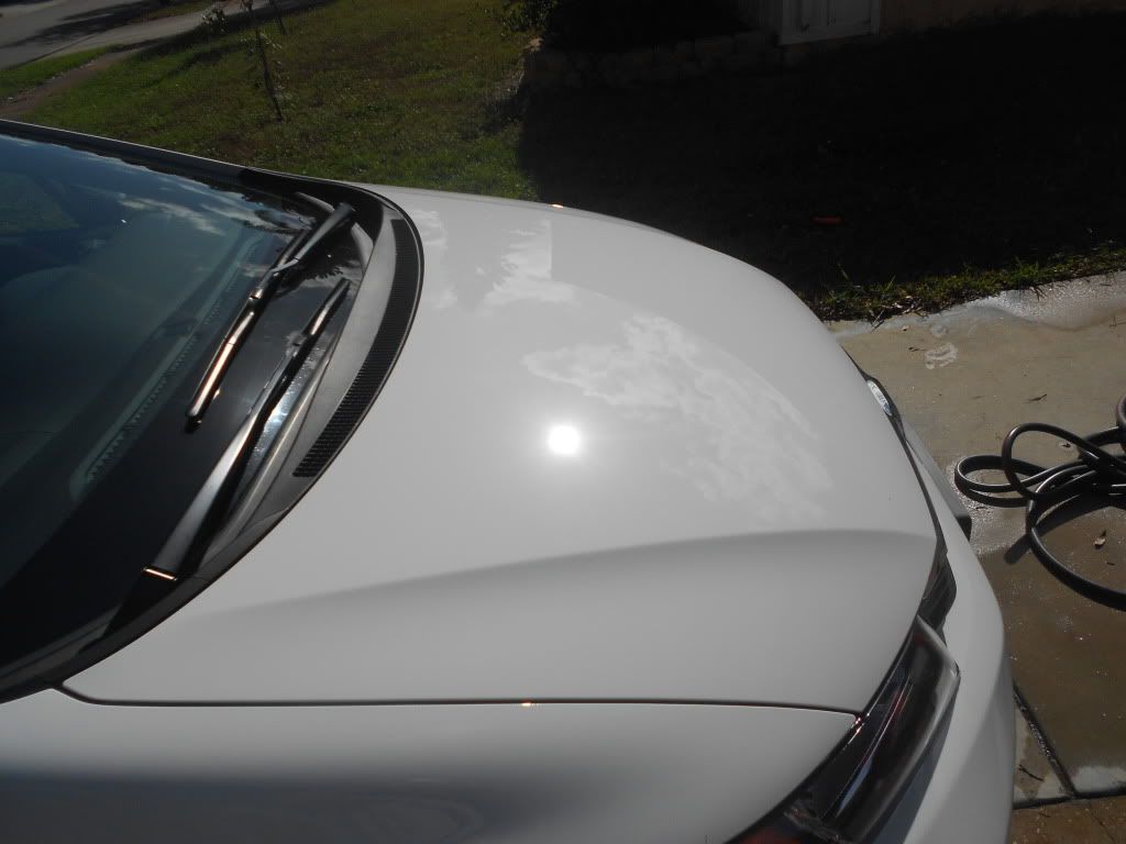 DSCN0378.jpg