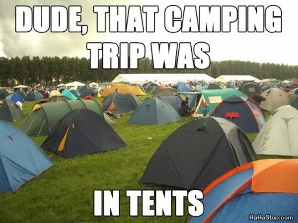 Camping_Trip_Pun.jpg