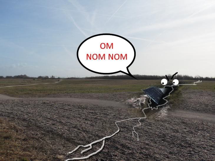 gls1.jpg