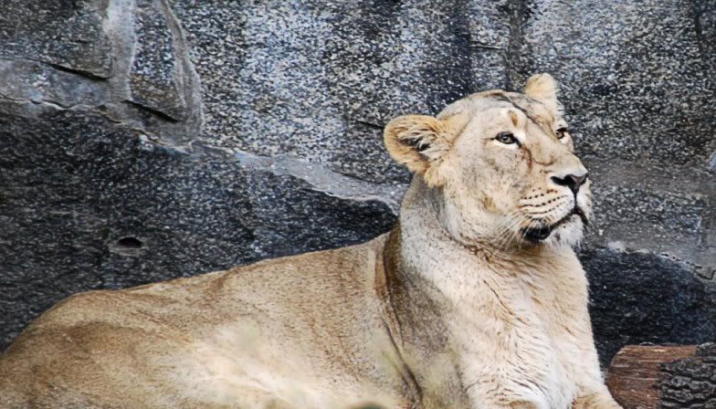 [Bild: TierparkBerlin090bearb.jpg?t=1219587542]