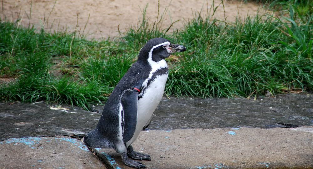 [Bild: TierparkBerlin197bearb.jpg?t=1219587373]