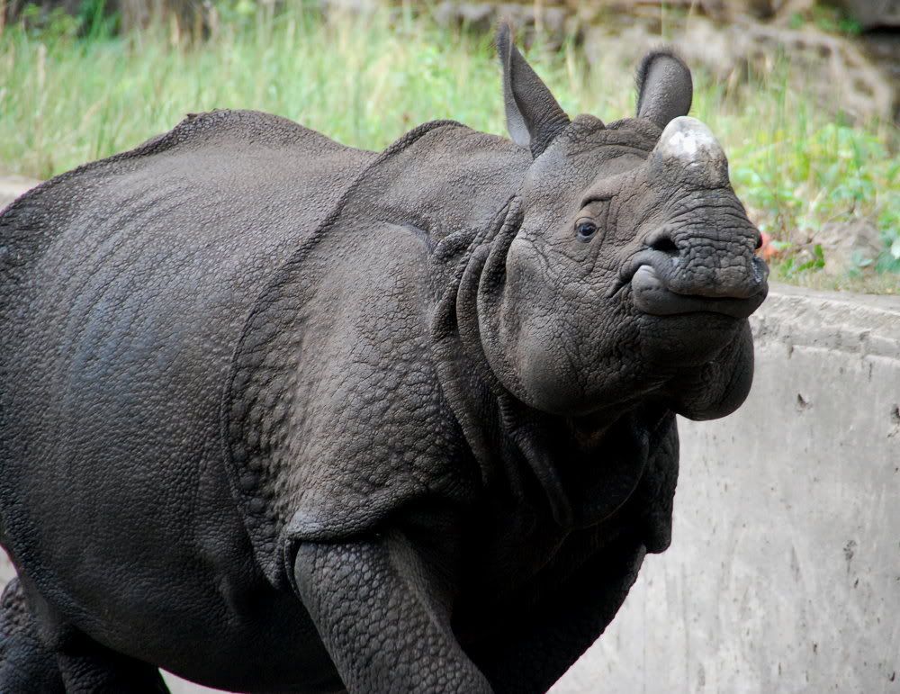 [Bild: TierparkBerlin277bearb.jpg?t=1219587632]