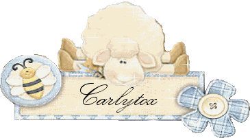RINCON DE CARLYTOX RINCON DE CARLYTOX