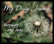 mydailyjourney