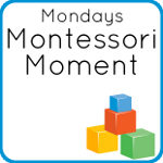 Montessori Moment