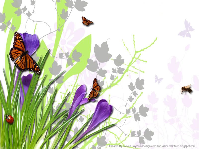 Love Nature Flower Butterfly of Wallpaper