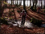 Bosque-5.jpg image by Demevius