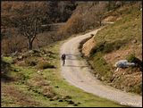 Valfria.jpg image by Demevius