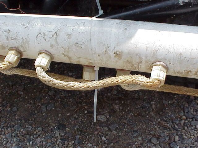 old pastures made new? - Cattle