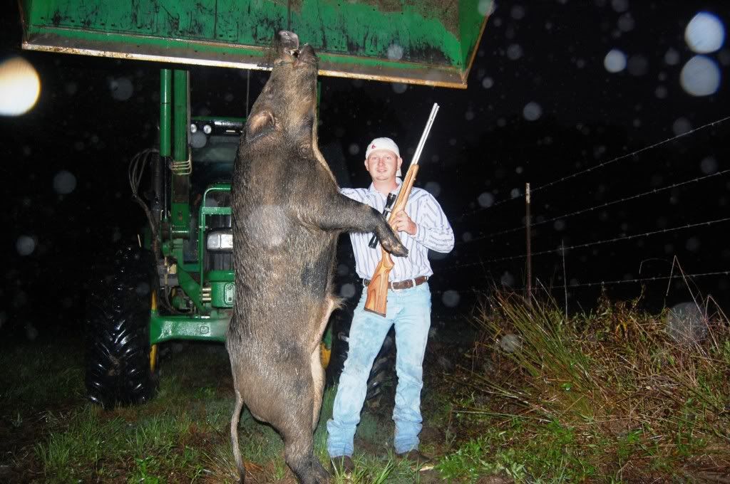 Lets see the biggest hog u killed