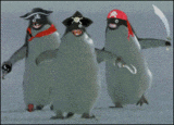 ninja penguins