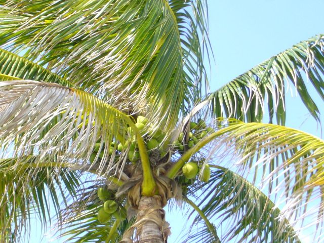 P1040629.jpg