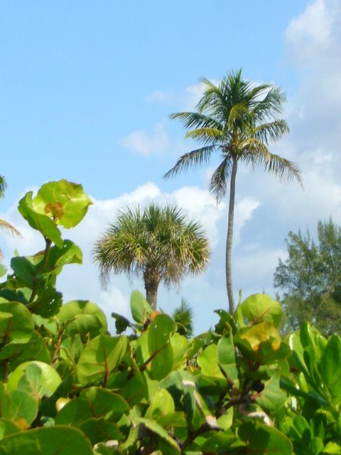 P1040631.jpg