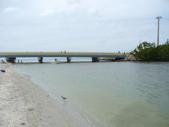 P1040636.jpg