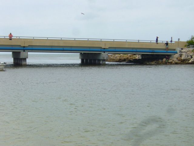 P1040637.jpg