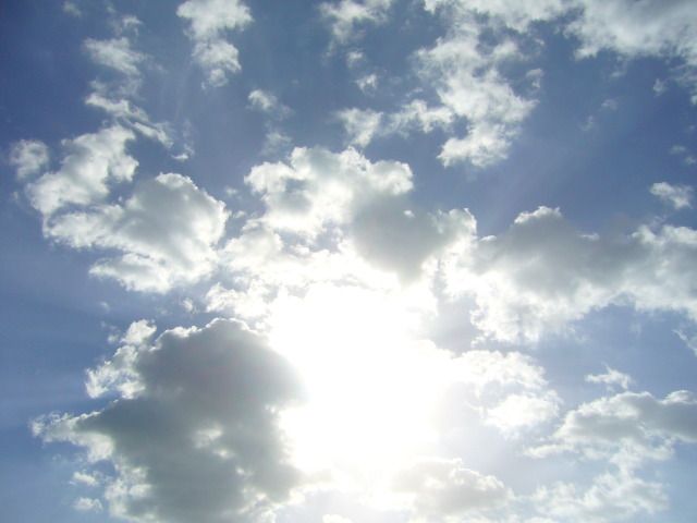 P1040650.jpg