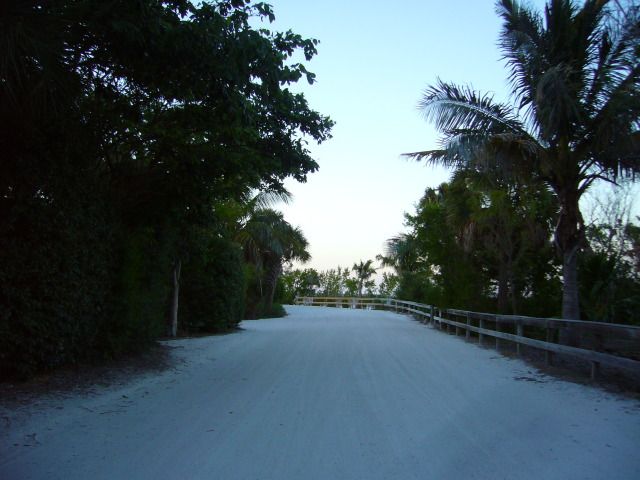 P1040653.jpg