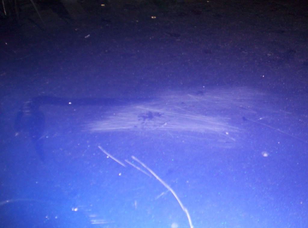 100_9771.jpg
