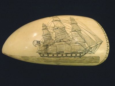 photo scrimshaw-tooth_zpsaa87d64a.jpg