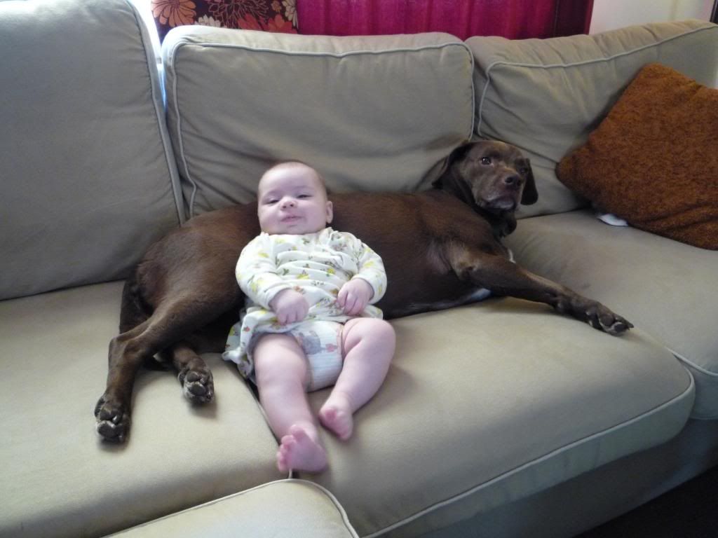 aboyandhisdog.jpg A boy and his dog image by Chriswilfongandhisrobots