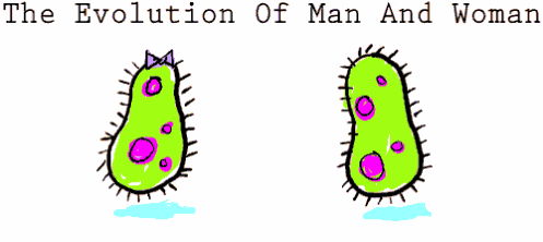 The true Evolution photo evolution.gif