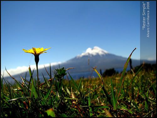 Mundo Mundo
