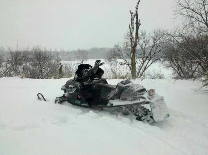 Arctic Cat 5000. my 05 Arctic Cat Saber Cat