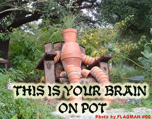drugs kill brain cells photo: Your brain on pot you-on-pot.jpg