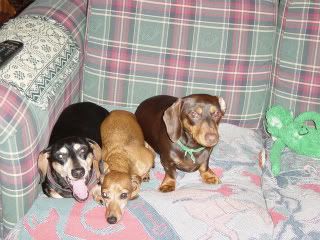 My Three Kids