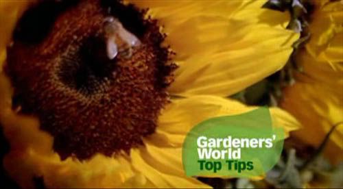 Gardeners' World Top Tips   Series 1 (2008) [PDTV (XviD)] preview 0