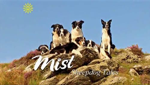 Mist: Sheepdog Tales   S03E10   Storm Exodus (20th June 2009) [PDTV (XviD)] preview 0