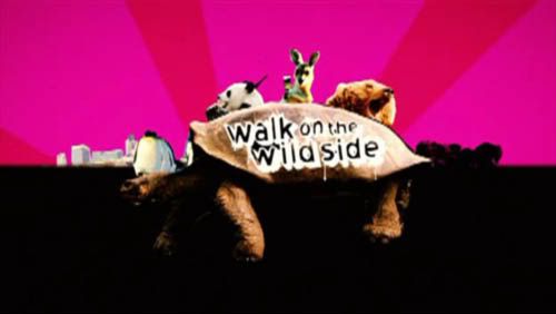 Walk on the Wild Side   S01E05 (12th September 2009) [PDTV (XviD)] preview 0
