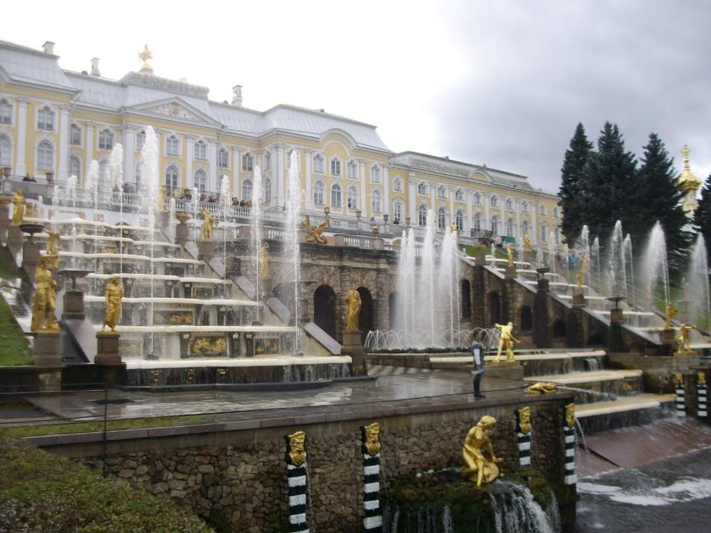 IMGP1319.jpg