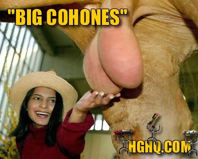 cohones.jpg