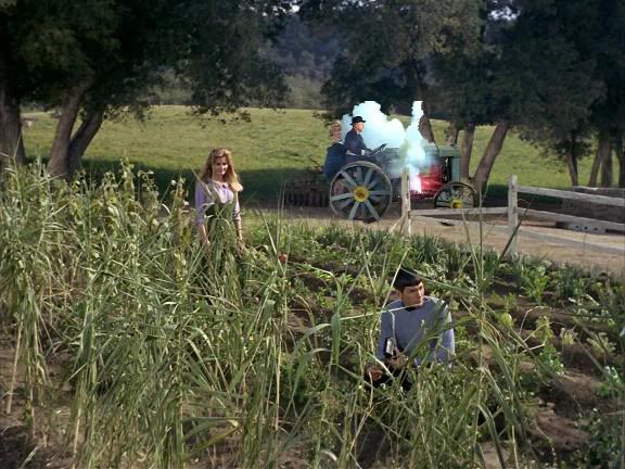 planetgreenacres.jpg