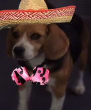 sombreroporthos.jpg