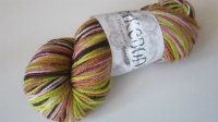 Pinkebody Legend of a Cowgirl Gaia Worsted