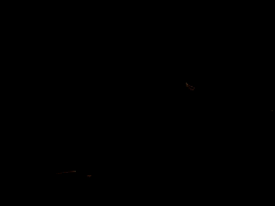 animated-CAMP-ROCK-Joe-and-.gif image by Diggy_Creations