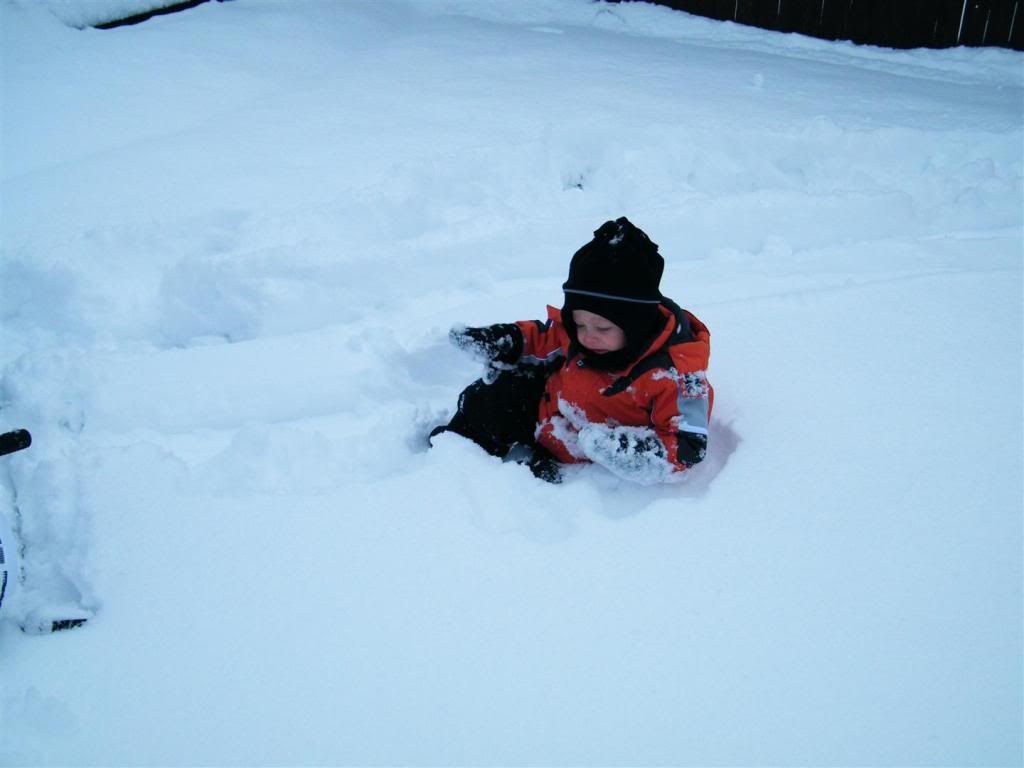 CodySledding13.jpg