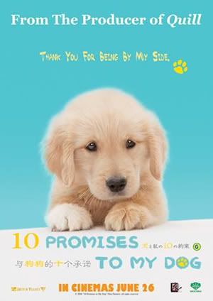 10 promises to my dog Pictures, Images and Photos