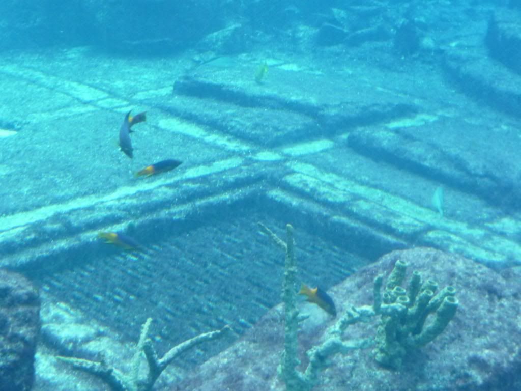 Atlantis Aquarium