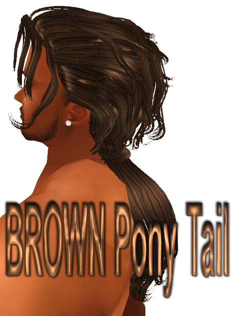  photo BROWN Pony Tail.png