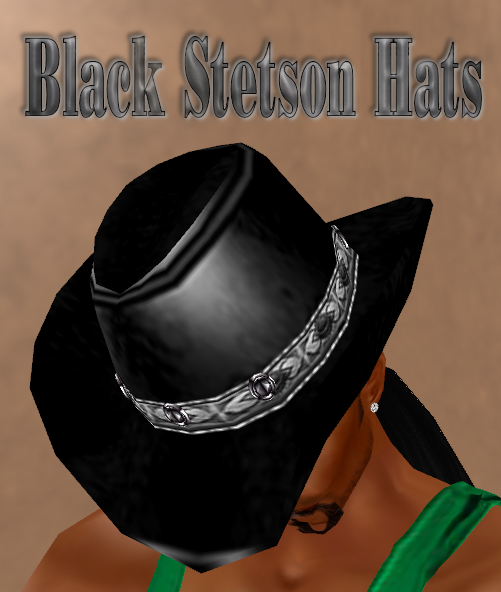  photo Black Stetson Hats.png