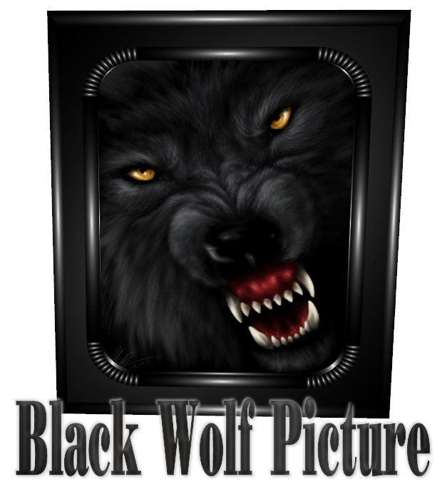  photo Black Wolf Picture.png