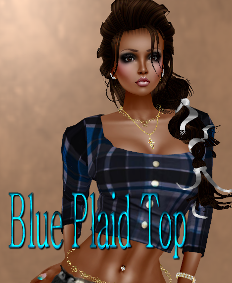  photo Blue Plaid Top.png