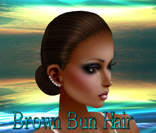  photo Brown Bun Hair.png