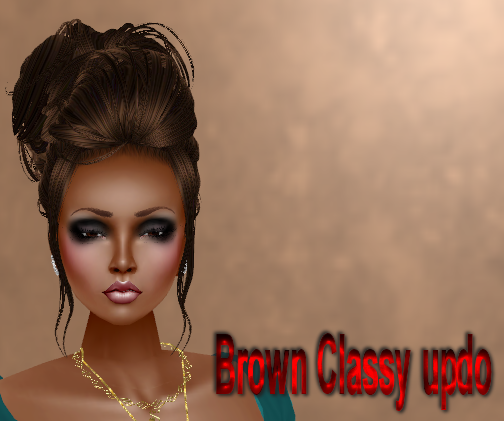  photo Brown Classy updo.png