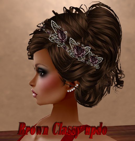  photo Brown Classy updo_1.png