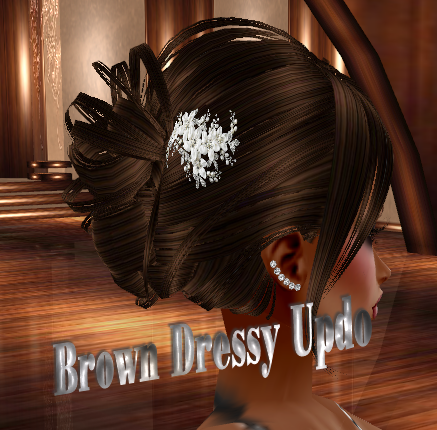  photo Brown Dressy Updo.png